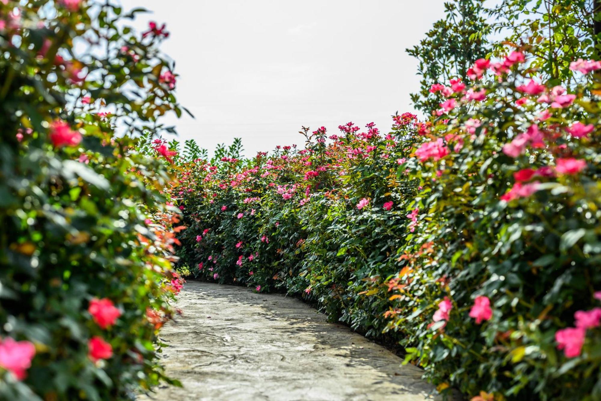 La Casa Di Valeria - Modena Bed & Breakfast エクステリア 写真